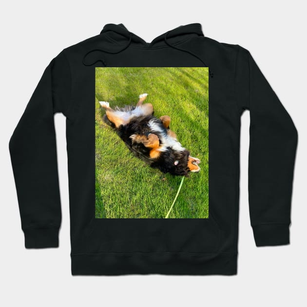 Rolling with Laughter! Hoodie by ephotocard